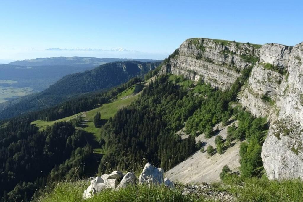 Studio « Le Petit Montagnard » Malbuisson Exteriör bild