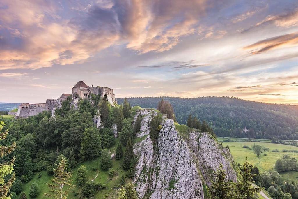 Studio « Le Petit Montagnard » Malbuisson Exteriör bild
